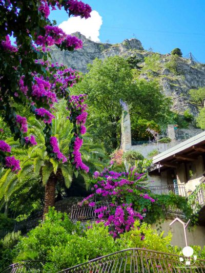 limone-sul-garda-giardini-di-bouganville-berightback limone-sul-garda-giardini-di-bouganville-berightback