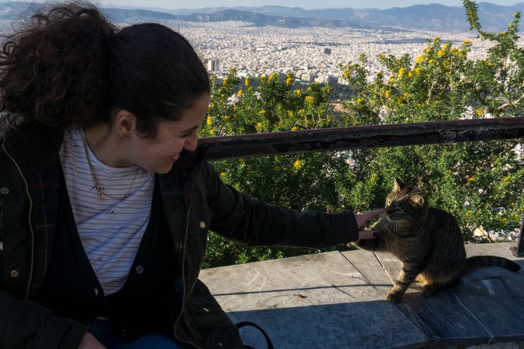 Atene gatto cima collina licabetto grecia