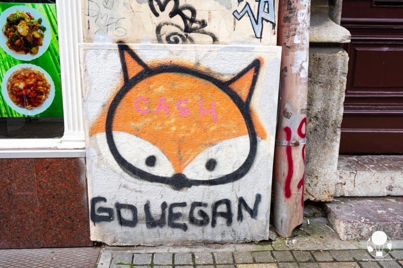 belgrado-street-art-dorcol-go-vegan-volpe-berightback