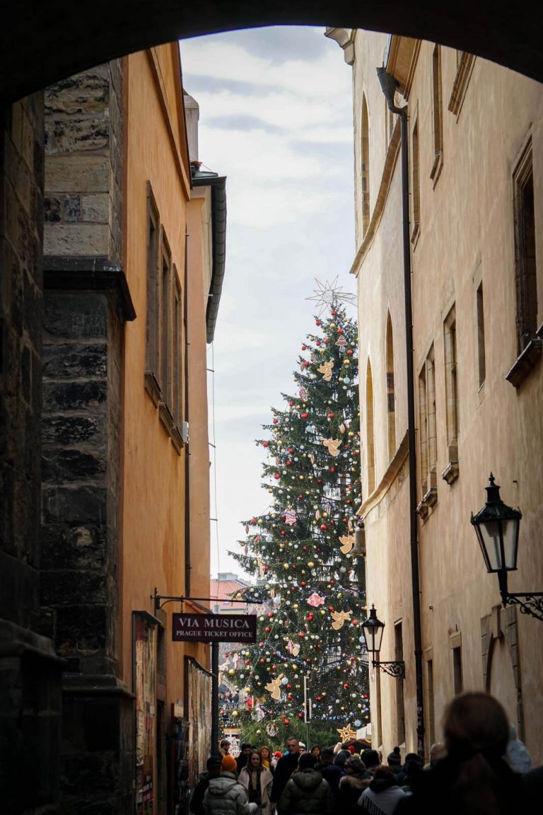 Albero di Natale in Piazza della Città Vecchia a Praga