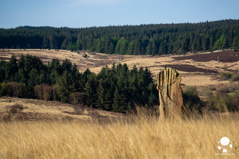collina con campi brulli ed alberi, pietra in primo piano