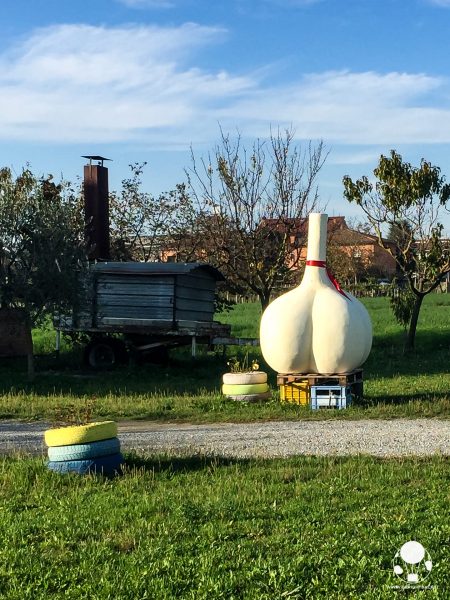 aglione della valdichiana toscana provincia siena