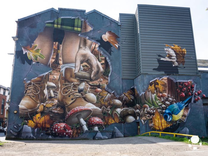 glasgow mural trail fellow glasgow residents funghi uccellino glasgow city centre mural trail fellow glasgow residents