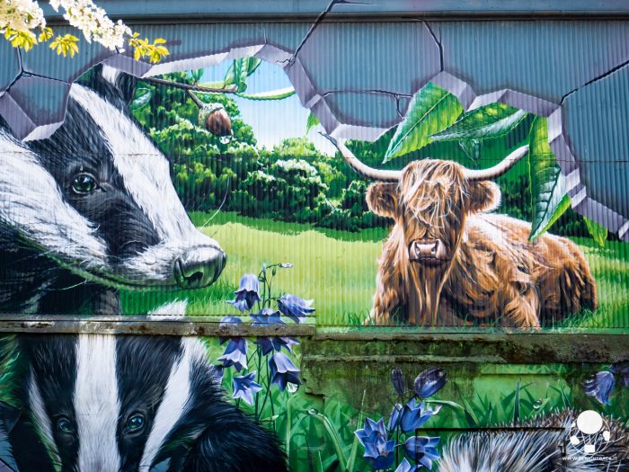 glasgow mural trail fellow glasgow residents highland cow puzzole glasgow city centre mural trail fellow glasgow residents