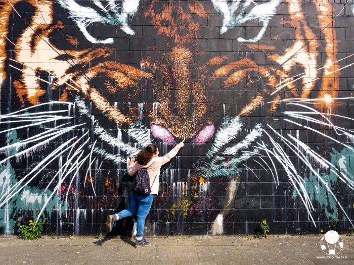 glasgow mural trail tigre fiume clyde glasgow mural trail glasgow's tiger